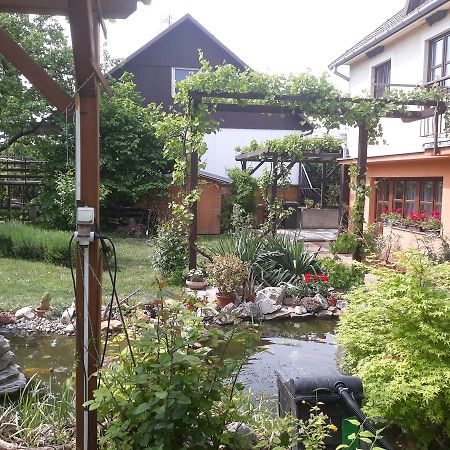 Pension Zeleny Strom Mikulov Kültér fotó