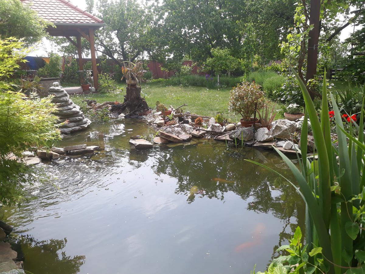 Pension Zeleny Strom Mikulov Kültér fotó