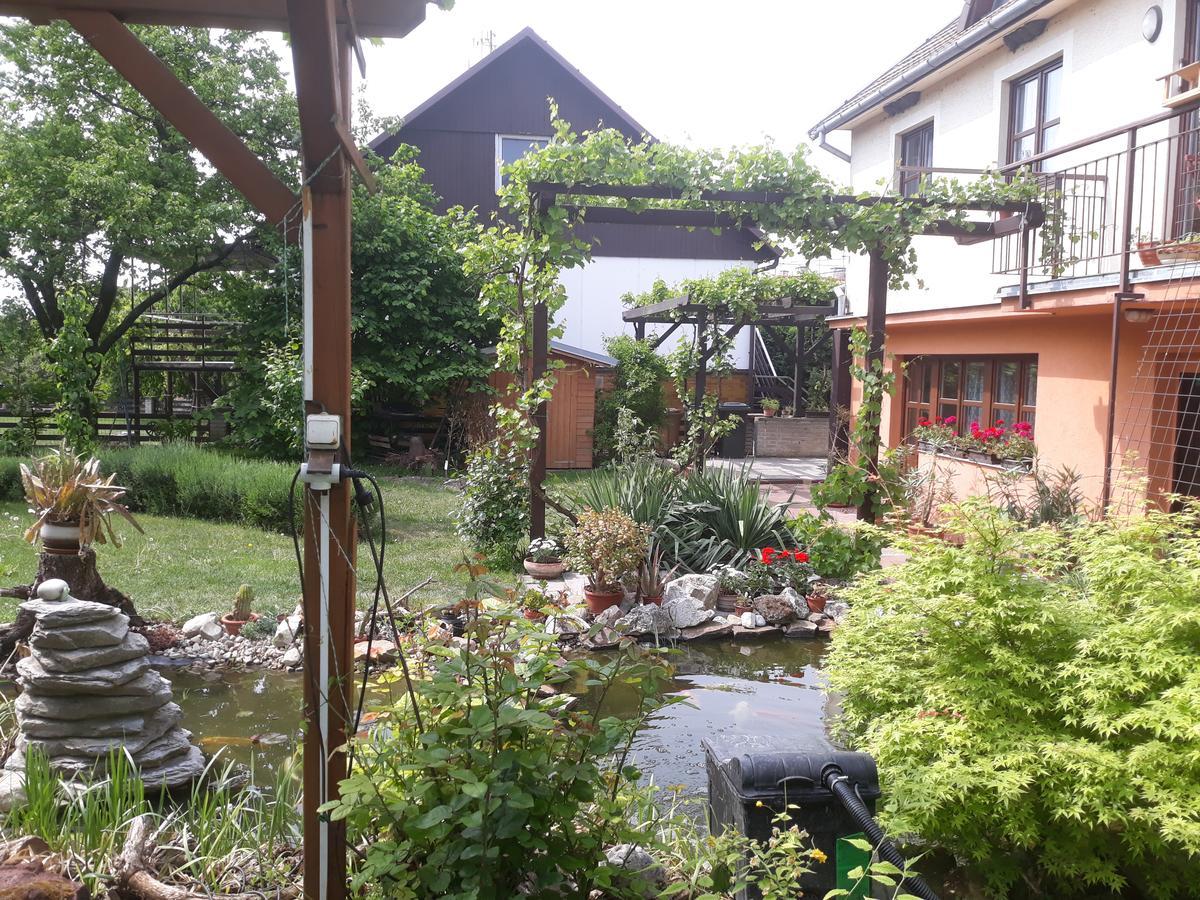 Pension Zeleny Strom Mikulov Kültér fotó
